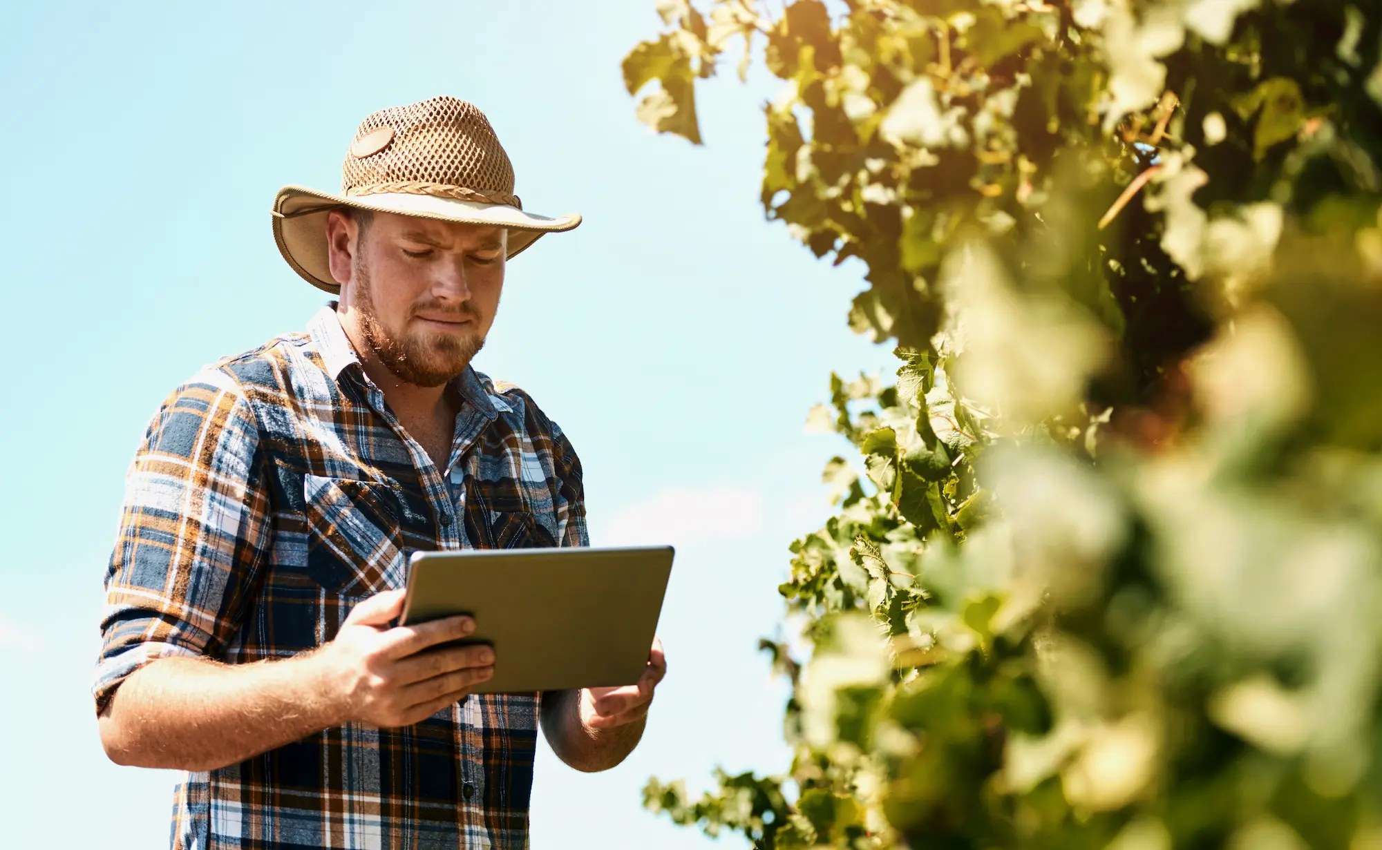 Rethinking skills for a sustainable european food system