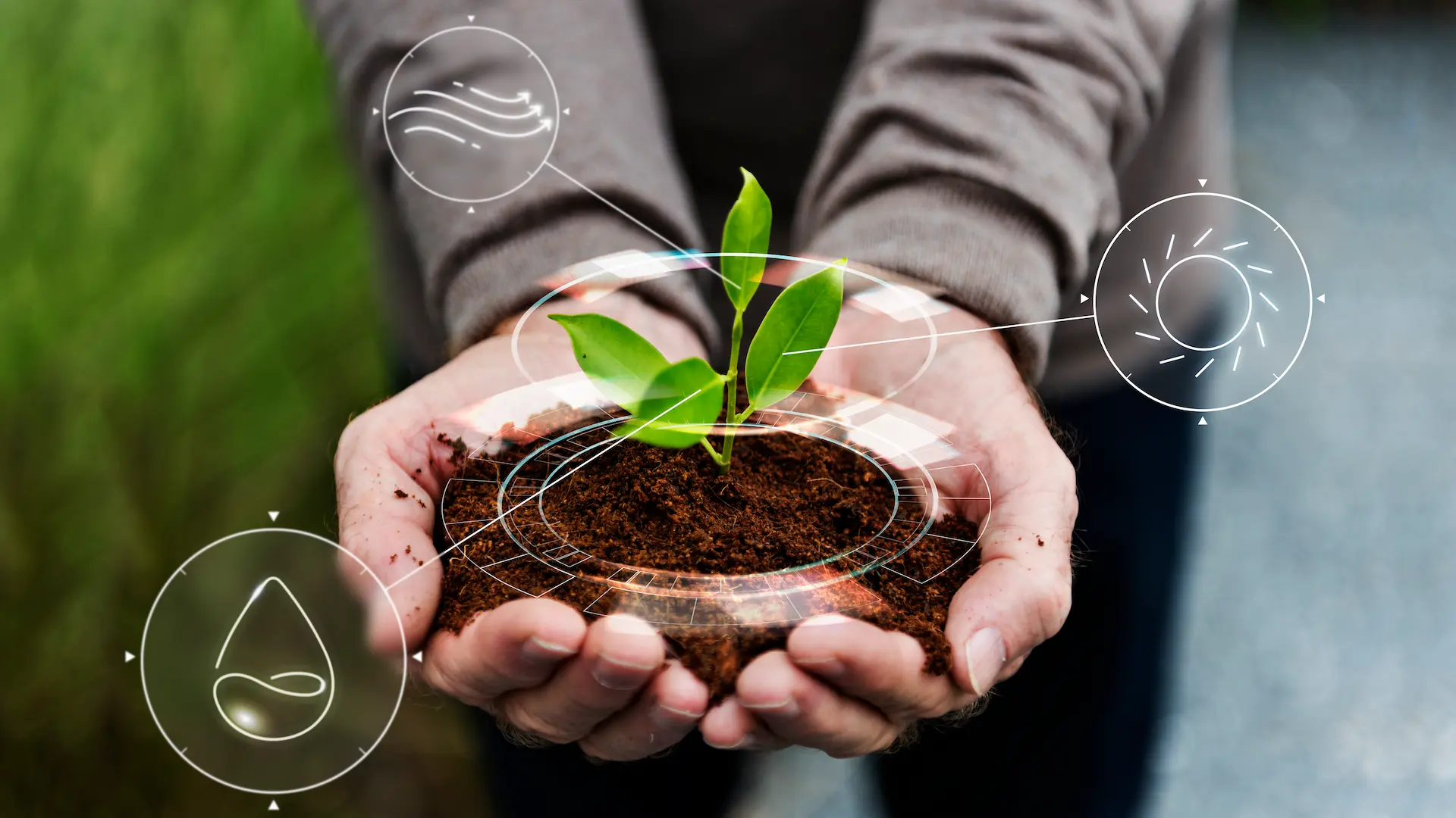 Smart agriculture technologies supporting sustainable agrifood supply chains